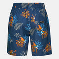 Cannonball Volley Boardshorts 17